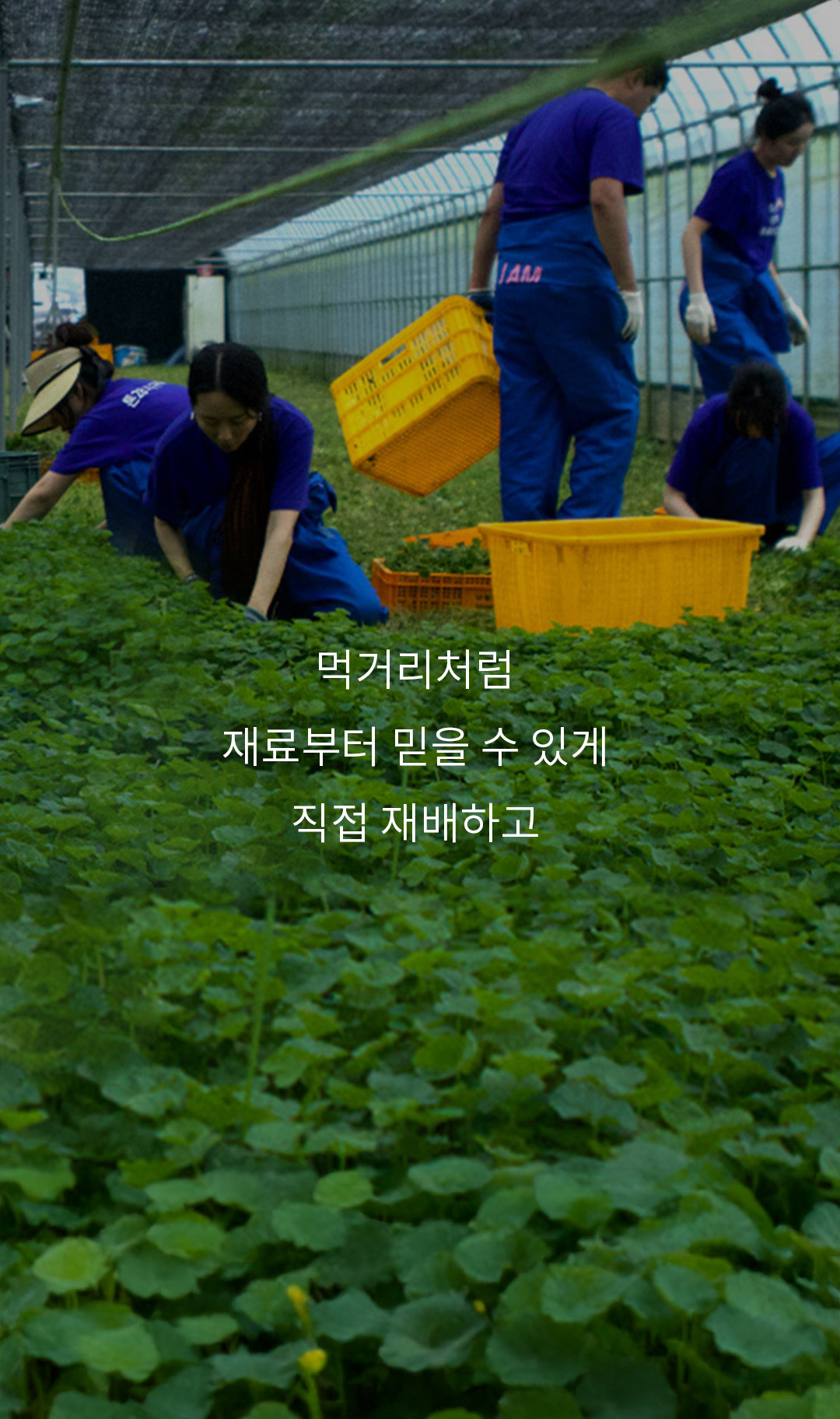 먹거리처럼 재료부터 믿을 수 있게 직접 재배하고