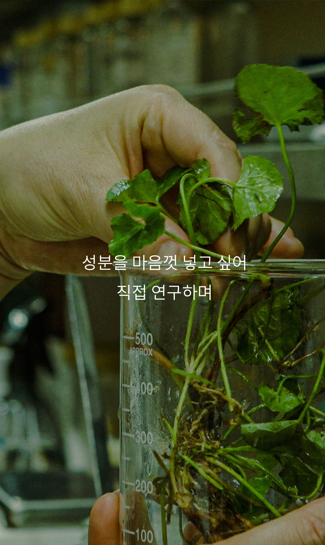 성분을 마음껏 넣고 싶어 직접 연구하며